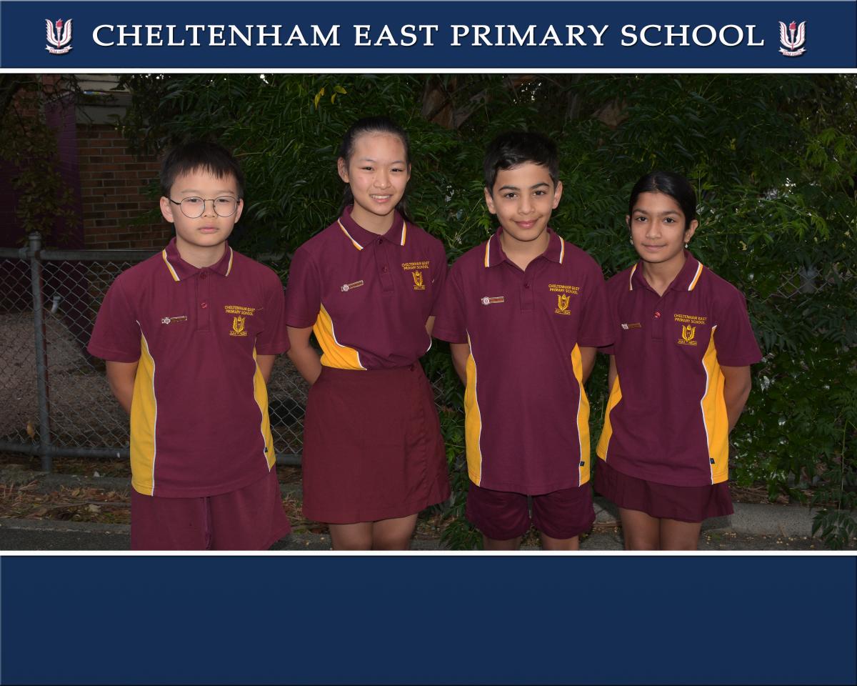 SCHOOL CAPTAINS